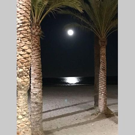 La Gaviota Apartment, In The Heart Of The Port 哈维亚 外观 照片