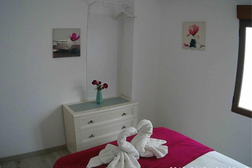 La Gaviota Apartment, In The Heart Of The Port 哈维亚 外观 照片